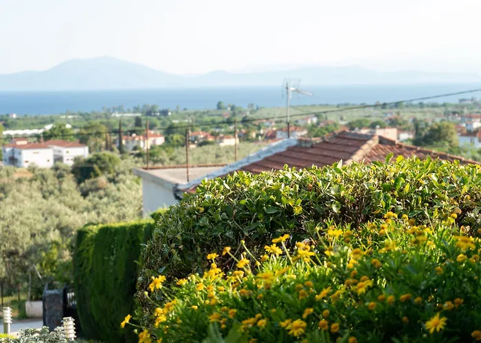 Mirovili House