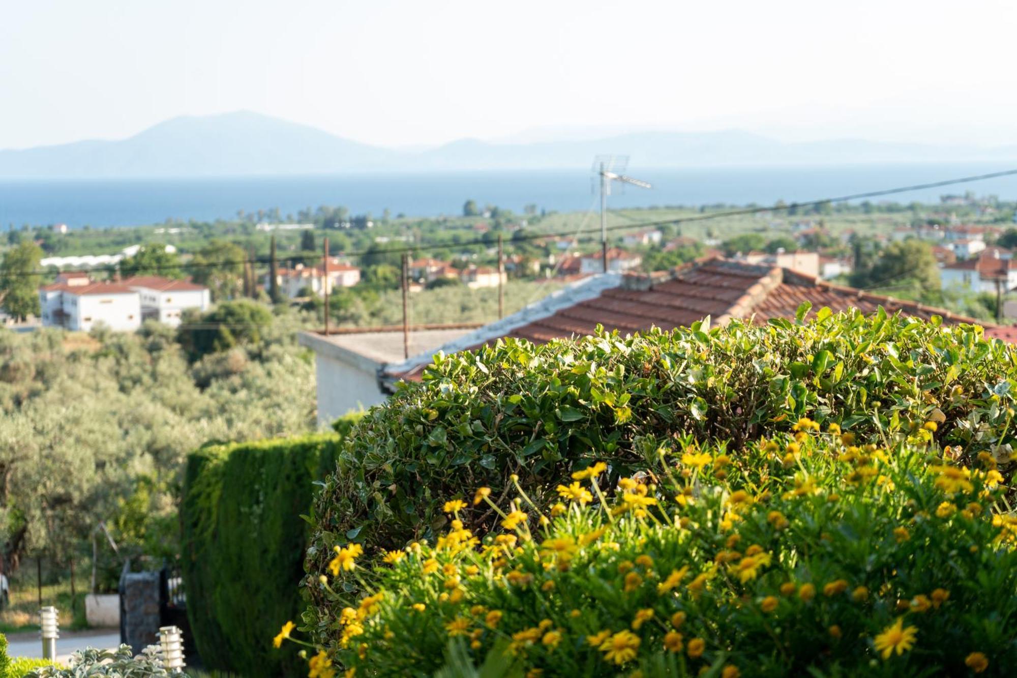 Villa Mirovili House