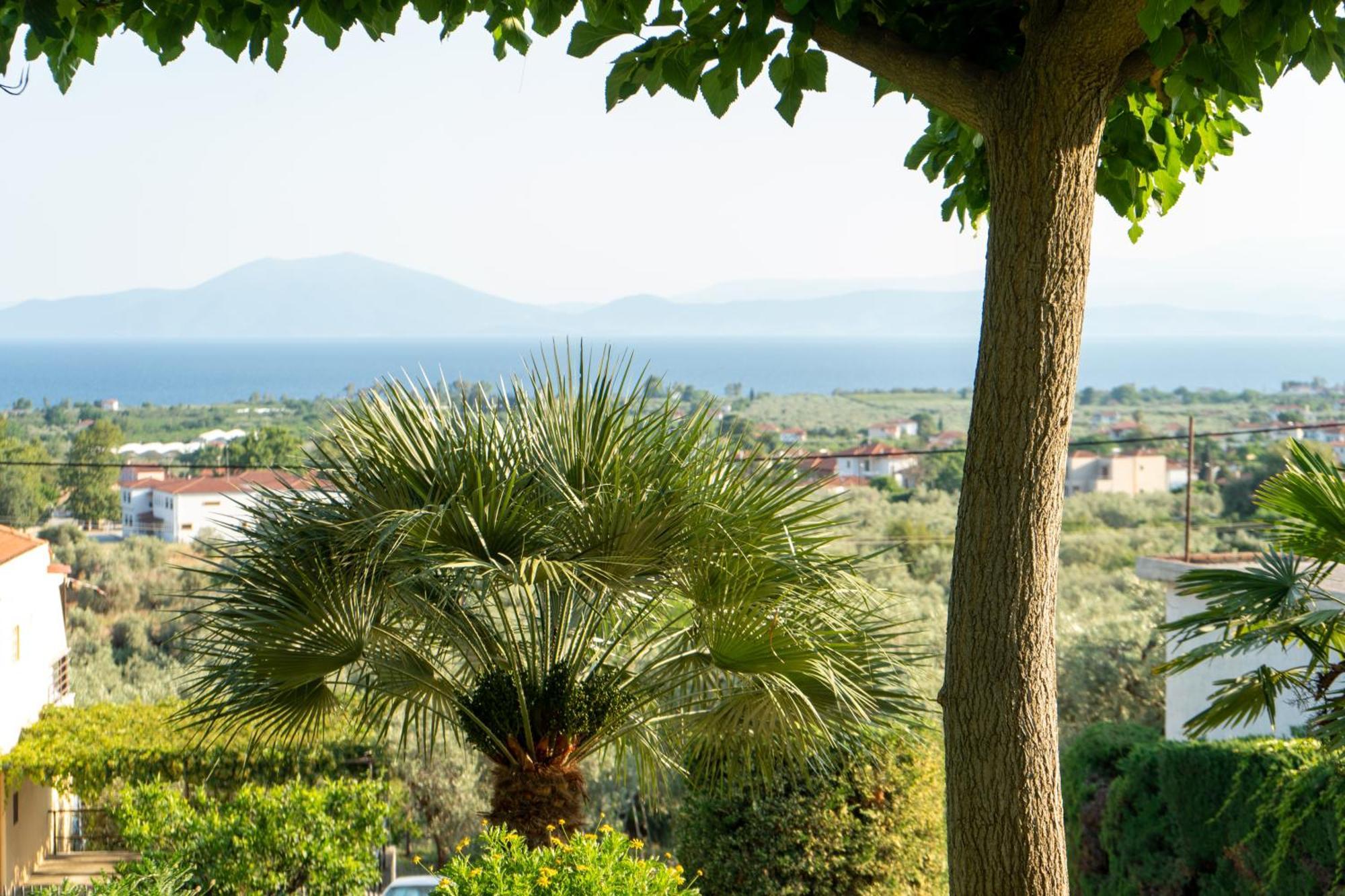 Mirovili House Villa *